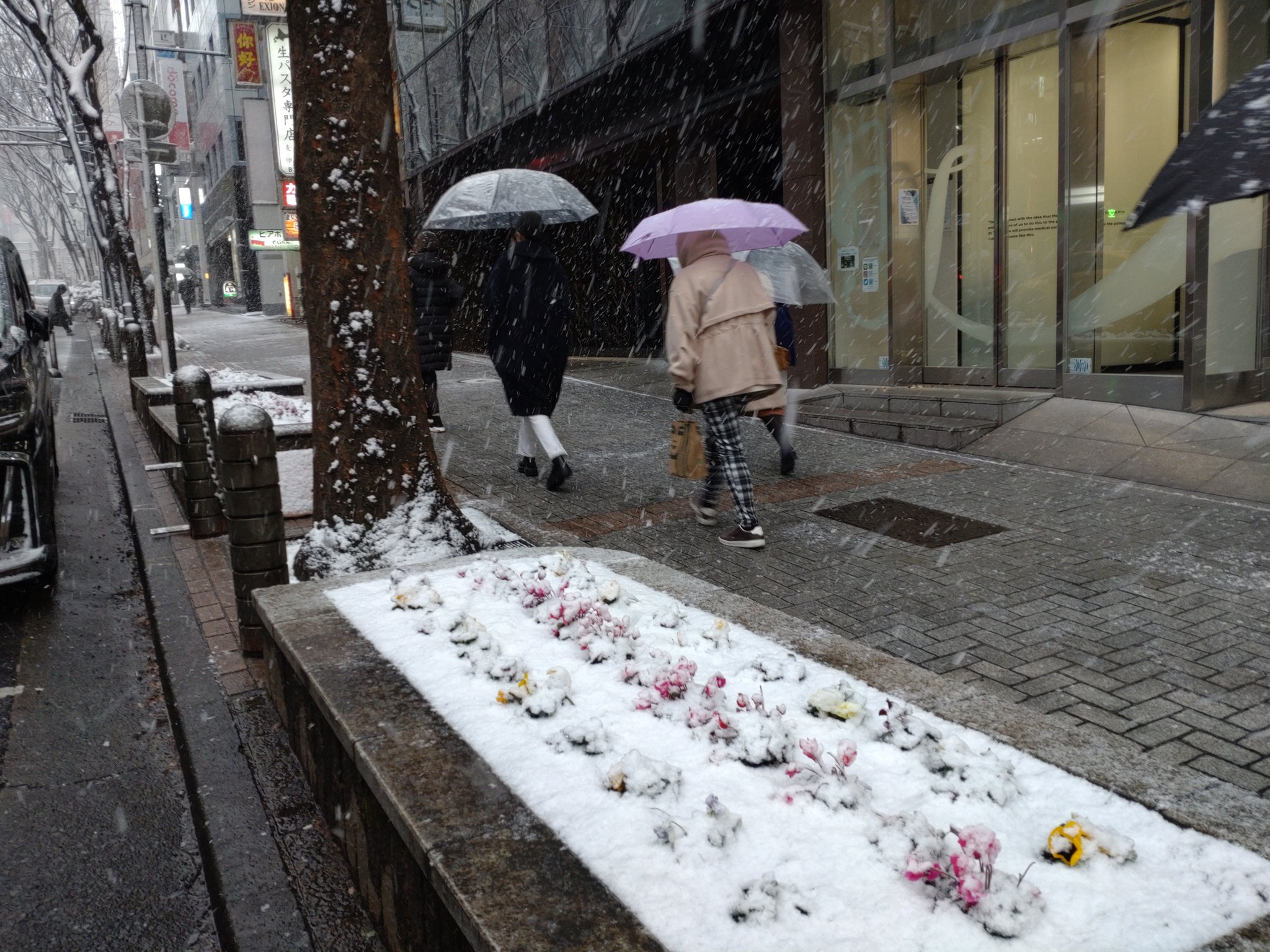 تويتر Neco ポケモンgo على تويتر Qmn660zsapdoybu うちの方は やっと先程雪マークつきましたよ