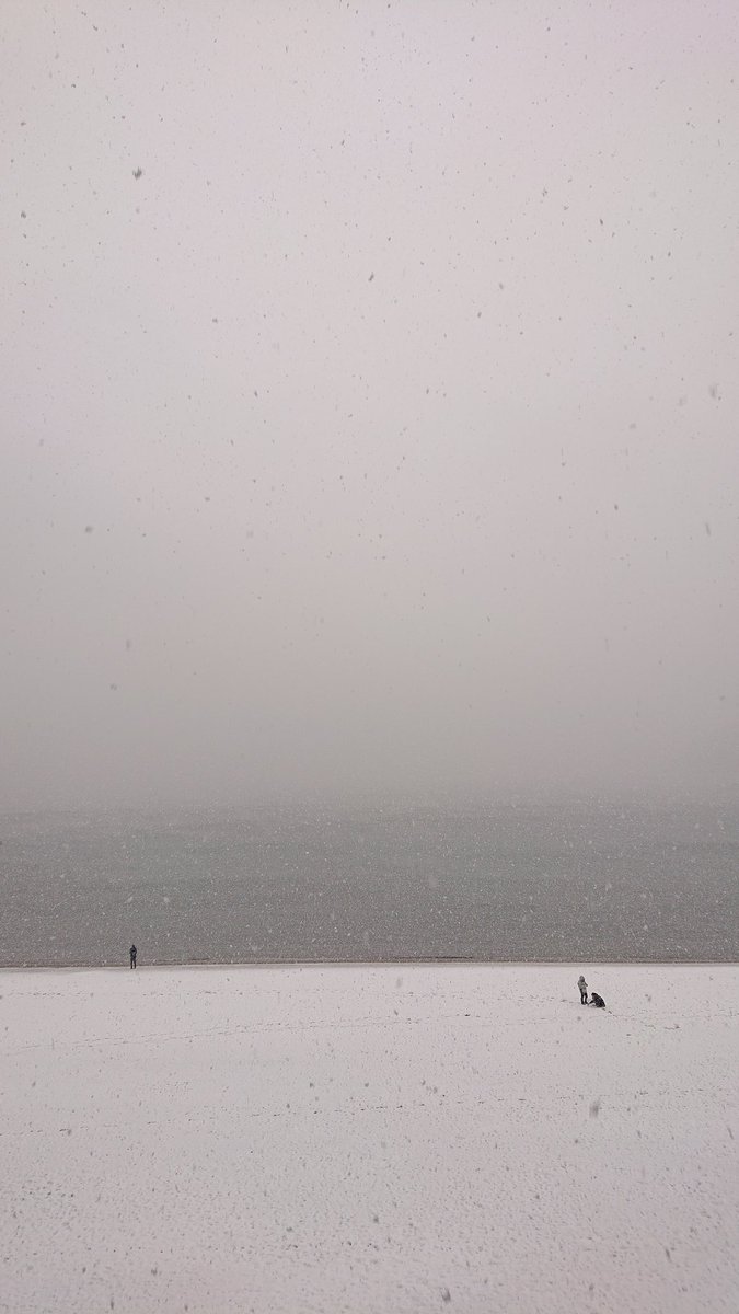 JapaneseMom48's tweet photo. The snow is piling up❄️ https://t.co/zQAW6YPjtt