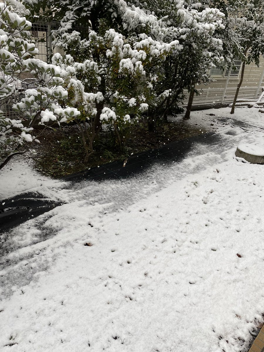 GaneAFD1's tweet photo. It's snowing. https://t.co/jmn8GgD9oc