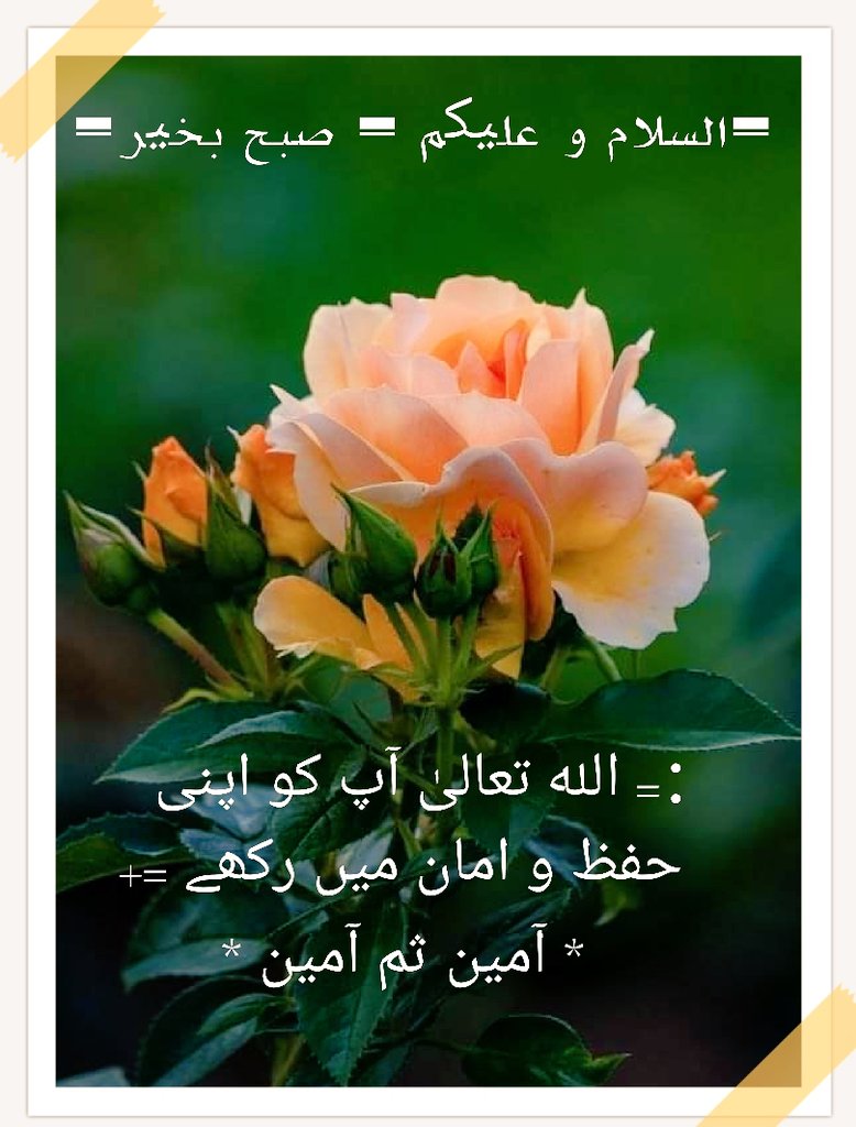 سب کو اسلام علیکم ورحمتہ اللہ وبرکاتہ کیسے ہوں سب دوستوں