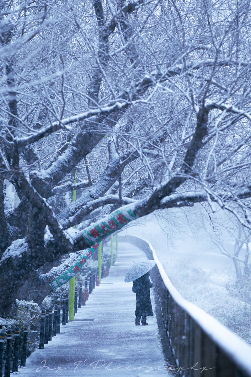 JayCus33's tweet photo. バカなので、雪ではしゃいできました。
#写真好きな人と繫がりたい 
#スナップ写真 #お写ん歩 #雪の写真 
#CarlZeiss #milvus #ApoSonnar 
#135mmレンズ #SnapShot https://t.co/Kd5THlPHoz