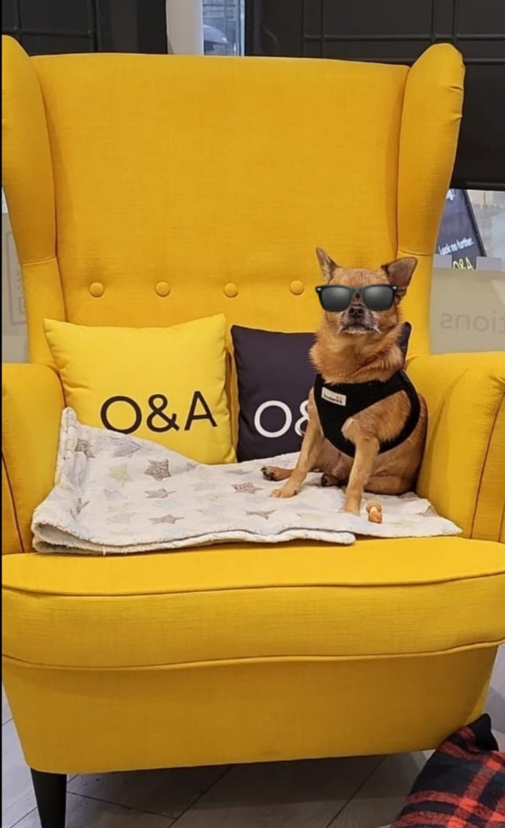 The Office Finding Experts tweet media