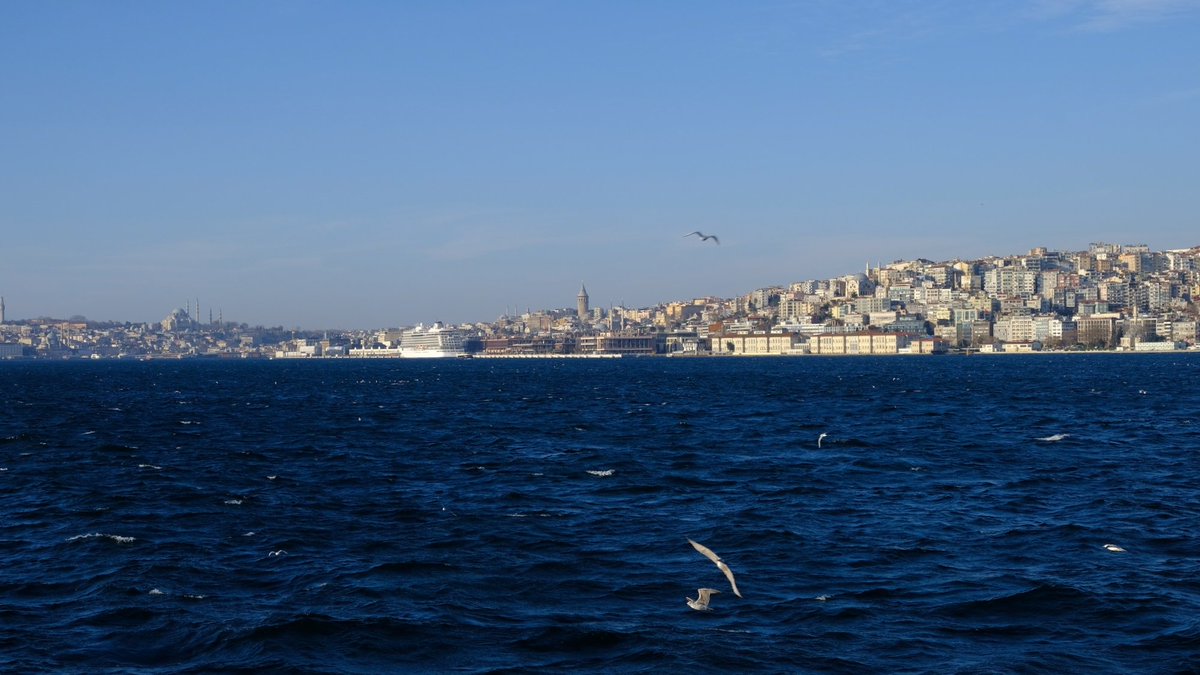 afkarasu's tweet image. #vapuring