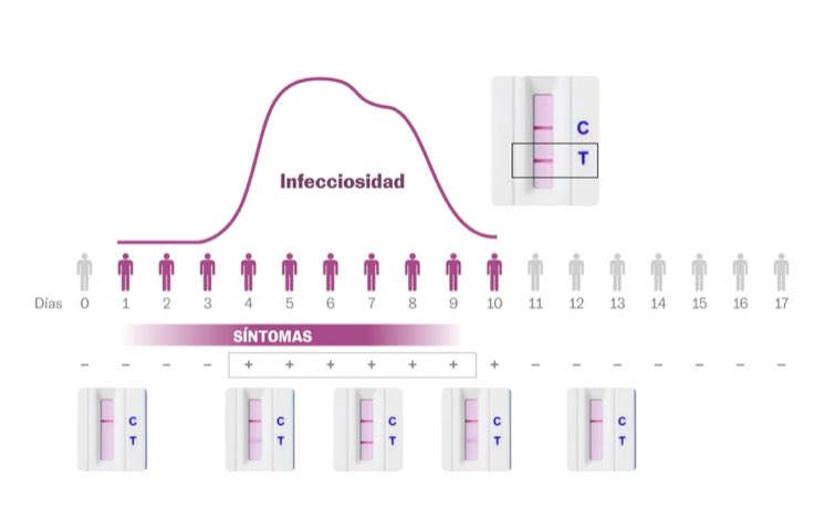 gorka_orive's tweet image. Aprender a usar e interpretar los tests rápidos frente a ómicron resulta clave. Los síntomas pueden aparecer antes que el positivo. Un negativo no asegura que se esté libre de la enfermedad y conviene repetir la prueba si hay sospecha de contagio. elpais.com/sociedad/2022-…