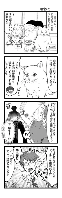 猫になった仁王 