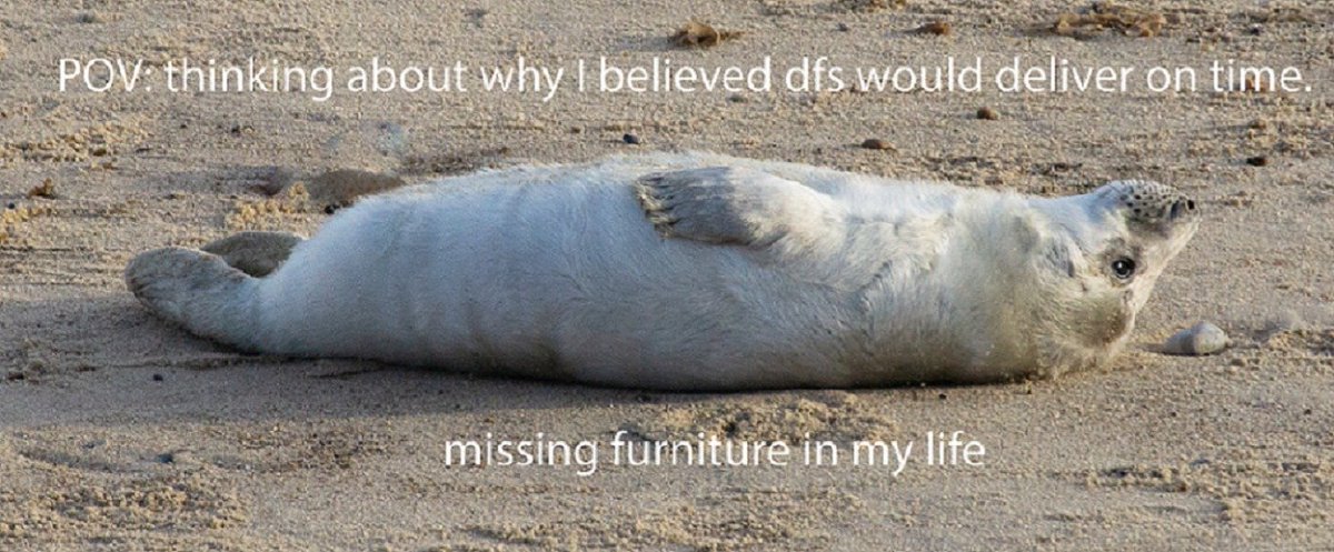 Crunchy100's tweet photo. @DFS will my sofa be delivered today, or at least will someone bother to tell me if it won't be https://t.co/TlO82OAQf5