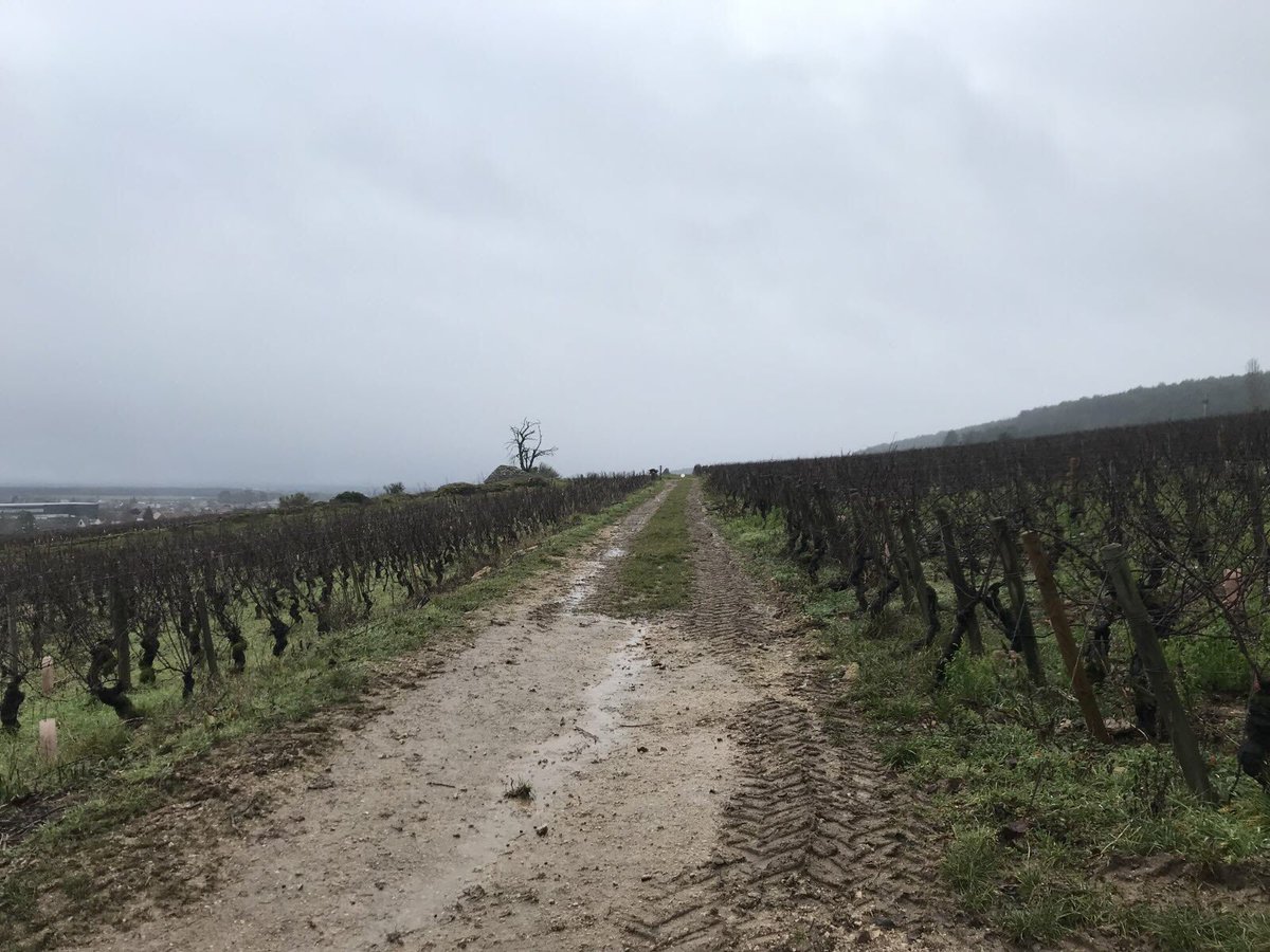 CHVV (@histoire_du_vin) on Twitter photo Fixin. Domaine Joliet : les secrets du monopole du clos de la Perrière bientôt transmis bienpublic.com/economie/2022/… via <a href="/Lebienpublic/">Le Bien Public</a> Fixin. Domaine Joliet : les secrets du monopole du clos de la Perrière bientôt transmis bienpublic.com/economie/2022/… via <a href="/Lebienpublic/">Le Bien Public</a>
