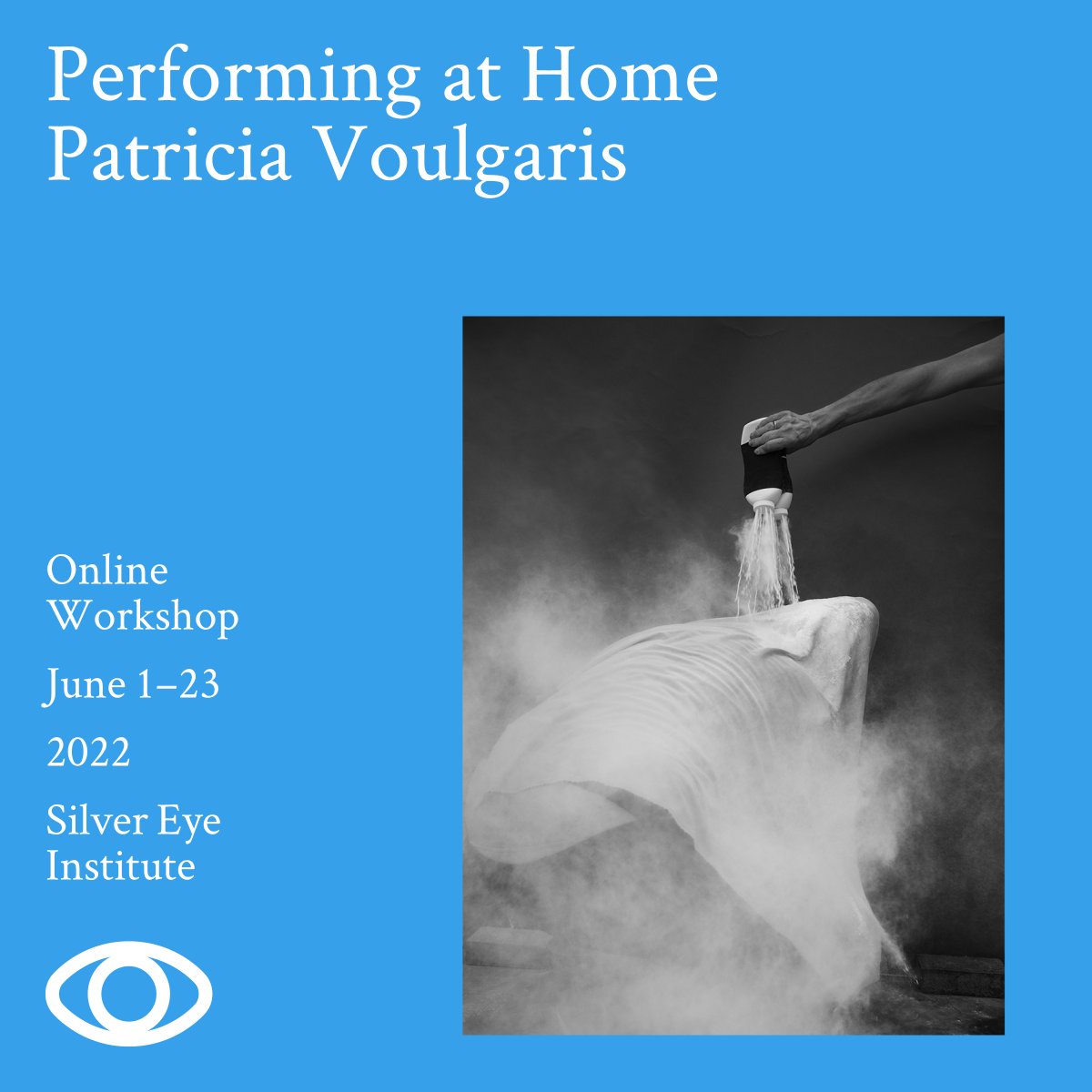 Silver Eye tweet media