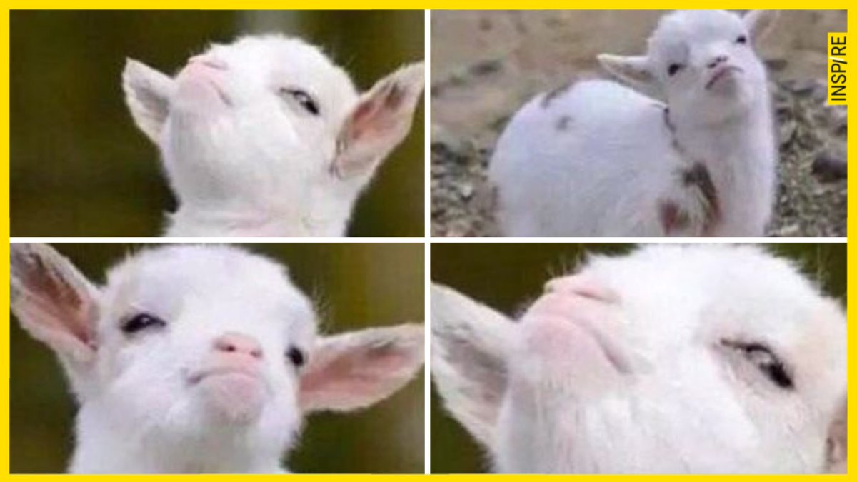 Me on my way to réclamer le point que le prof a oublié sur ma copie ! 

#meme #lycee #vielyceenne #parcoursup