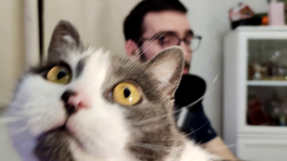 BajkLab's tweet image. Sjutra u 17:00 sati, druga epizoda podkasta koji će se dotaći raznih tema vezanih za periodizaciju u treningu i zimske pripreme.

Upozorenje
Za vrijeme snimanja podkasta se pojavljuje ova krvoločna životinjica koja voli da napada ruke i noge. Gledaocima se preporučuje diskrecija.