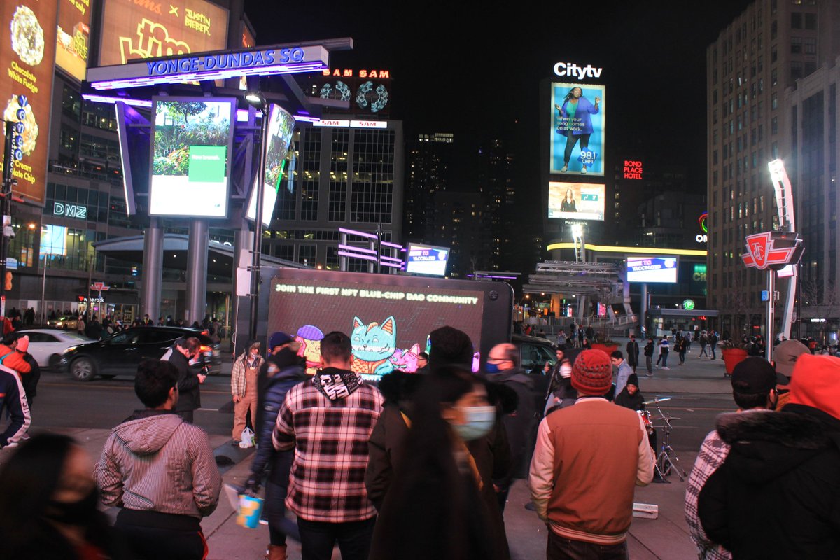 mutantcats's tweet photo. Throwback to that time #MutantCats took over #The6ix during #NYE2021!!🥳

Many more fun campaigns to come, gang.🐈‍⬛ https://t.co/WjtUNRgFtq