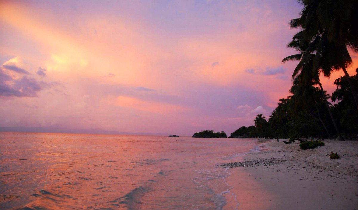 Ameliebaron's tweet photo. "Répondez avec une photo que vous avez prise, et qui ne contient ni personnes ni mots. Faisons un fil calme".
Kokoye, Petit Goave, #Haïti 🇭🇹 https://t.co/I7kRJtnGx9