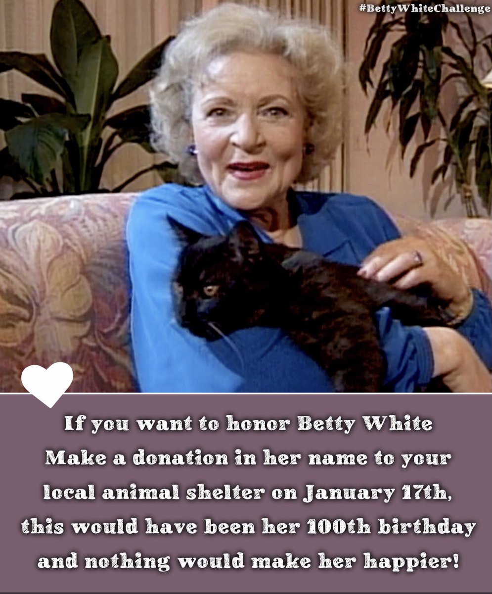 GPFGeorgetown's tweet image. In honour of Betty White’s 100th Birthday we will be accepting donations for North Halton Kitten Rescue. Jan 13-17, 2022. #BettyWhiteChallenge #georgetownontario #nhkr #globalpetfoods #gpfgtown #adopt #AdoptDontShop #rescuepet