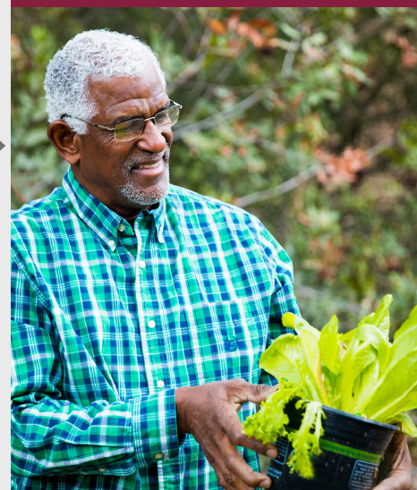 Dr. Ashley Dayer tweet media