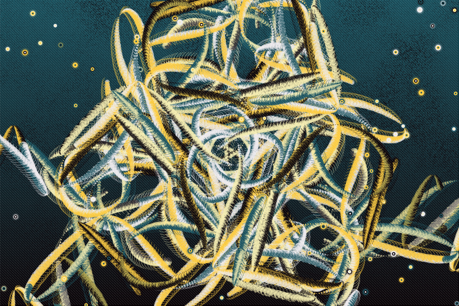 "Ganxillo" with 4 branches, 9 branches, 7 and 3.
Press numbers to change them, press space key to clear. You can view and interact with it at: feralfile.com/artworks/ganxi…