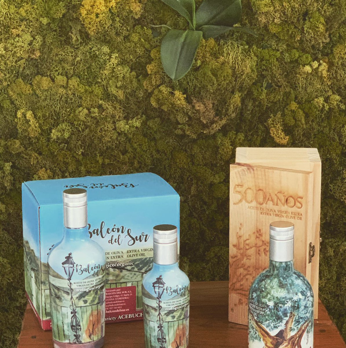 ESTA SEMANA OS DEJAMOS UNA VARIEDAD DE LUJO ( ACEBUCHE)