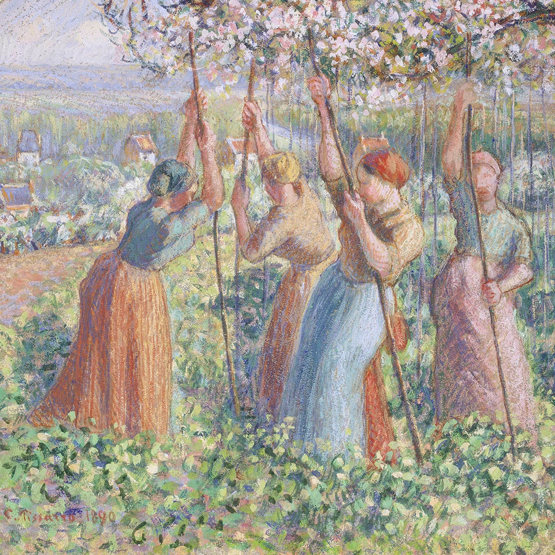 Ashmolean Museum tweet media