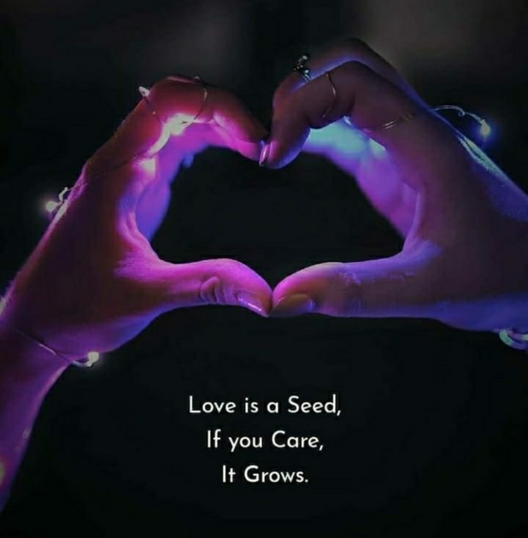 tonyrobles's tweet photo. You can't fall in love. π€¦ββοΈ
You can definitely grow in love.πΉπ
If anything know this, things that fall, break, and things that grow, get Stronger. πͺπππ₯° #Live #Love β€ #WorkTogether π₯° #FeedLove π #LoveIsAmazing π https://t.co/P0D6Cr3J5t