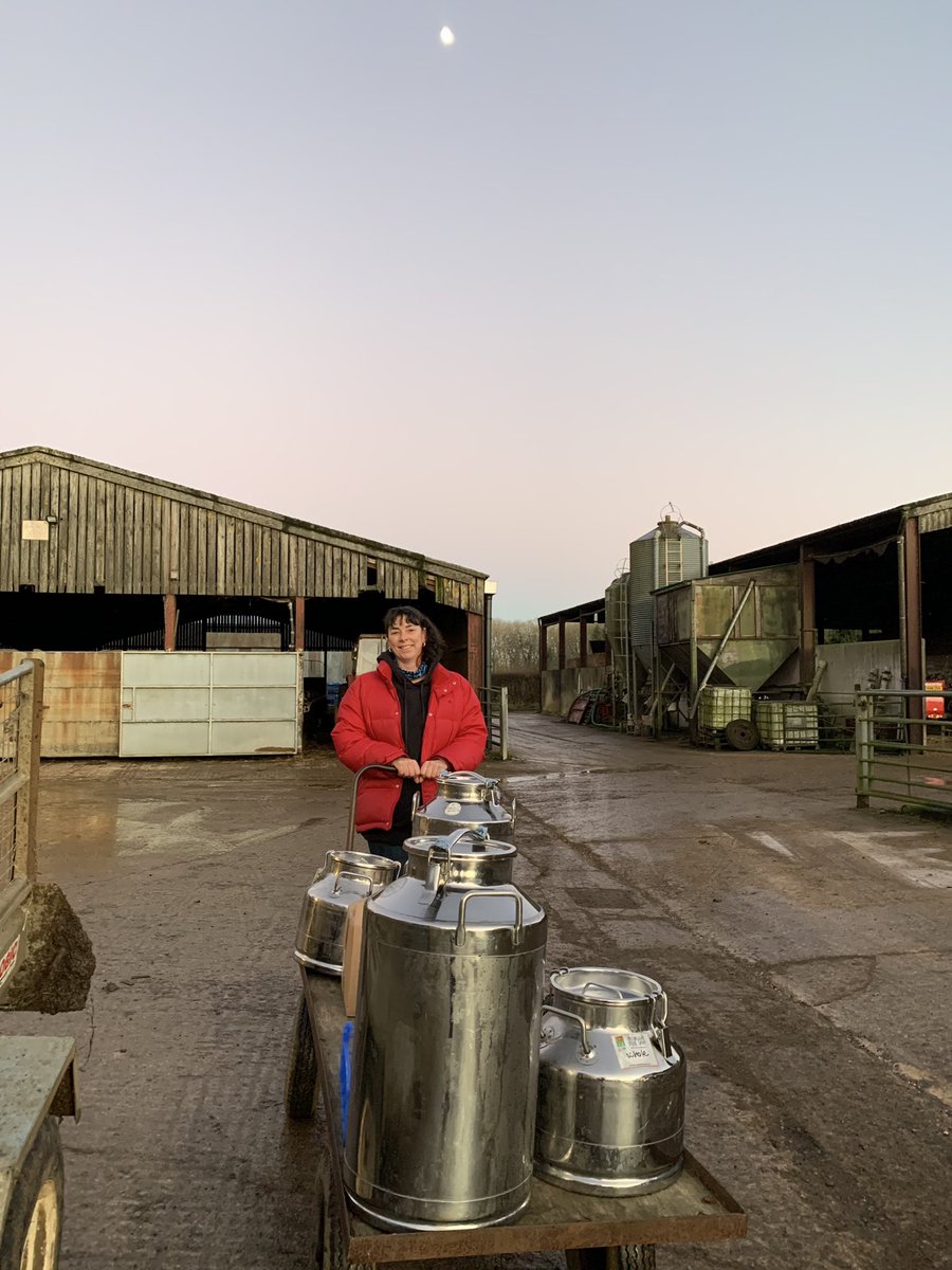 FarmShopOrganic's tweet photo. Early evening delivery of pasteurised (not homogenised) semi skimmed & whole milk, cream, strawberry & blackcurrant yogurt. From farm to shop #metresnotmiles From cows to customers #hoursnotdays Thanks Sarah & Tina &๐๐ง๐ปโ๐พ๐ #organic #homemade #cirencester #cotswolds https://t.co/R8Rdl8Xdki