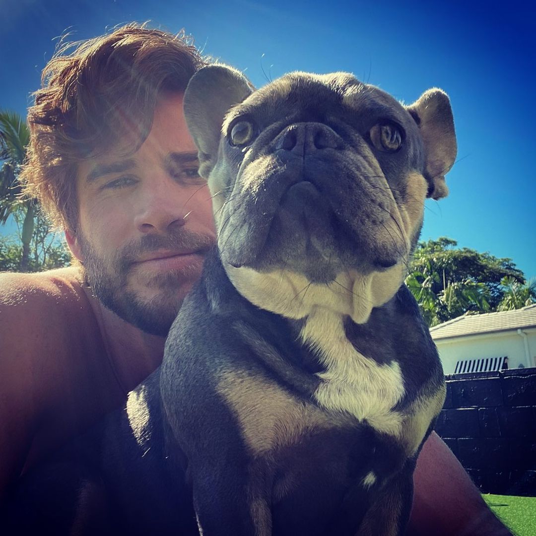 Let\s all wish Liam Hemsworth a Happy Birthday because LOOK!   