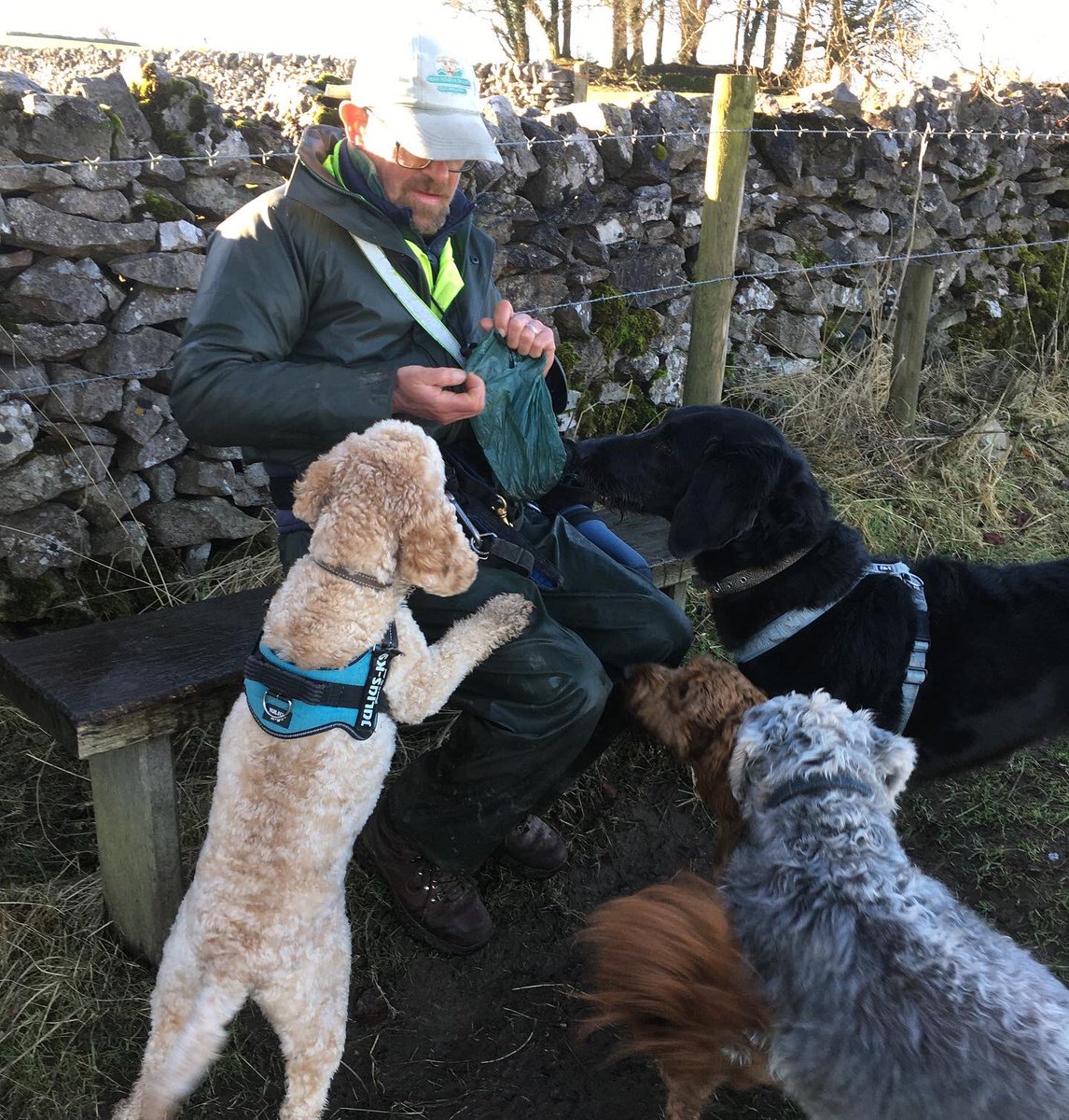 PeakWags&Woofs tweet media