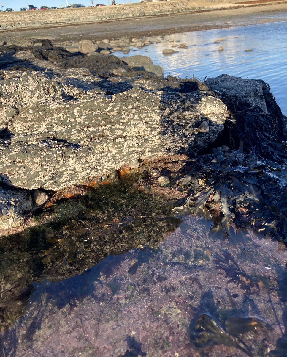 A real treasure trove today