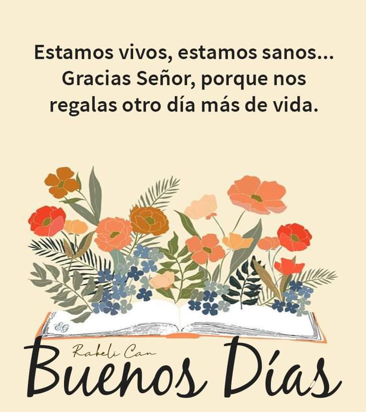 AcuautlaSanchez's tweet photo. https://t.co/jmMwzmgKdM
