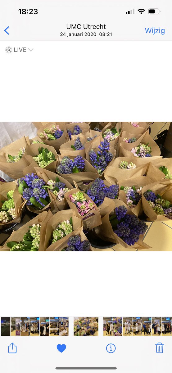 Helaas staan we dit jaar opnieuw niet bij de hoofdingang van <a href="/UMCUtrecht/">UMC Utrecht</a> om #hyacinten te verkopen. Koop via Bloomgift.nl toch een bosje (of meerdere😉)  en ondersteun het goede doel “AYA Jong en Kanker” 💜 en haal het voorjaar in huis 👊<a href="/AYAzorgnetwerk/">Nationaal AYA 'Jong & Kanker' Zorgnetwerk</a> #AYA