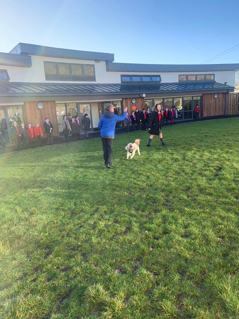 What fun we have had at lunchtime today taking it in turns to play fetch with Teddy! 😁 he's worn out now! 😴 <a href="/Garbett_HMCS/">Mrs Garbett</a> <a href="/HMC_School/">High Meadow Community School</a>  #SchoolDog #LunchtimeFun #WeAreKind