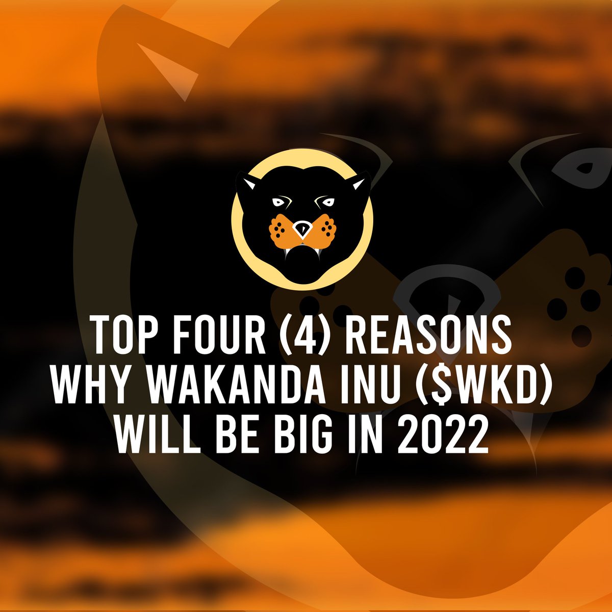 No Guess Work here. The Vision and  Mission has always been clear. Have a read on what we have coming in Q1, 2022 and running into the rest of the year. Click the link below:

link.medium.com/q3qFU73GMmb

#Wkd #wakandainu #Crypto
