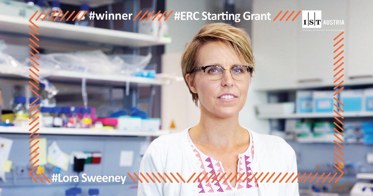 Congratulations to @lorabsweeney and her team at #ISTAustria, who have received a grant of €1.5 million from @erc_research . 🎉 Her research project "swim2limb" will investigate the locomotor behavior of e.g. frogs to better understand the spinal cord. 👉 bit.ly/3I0CvAb