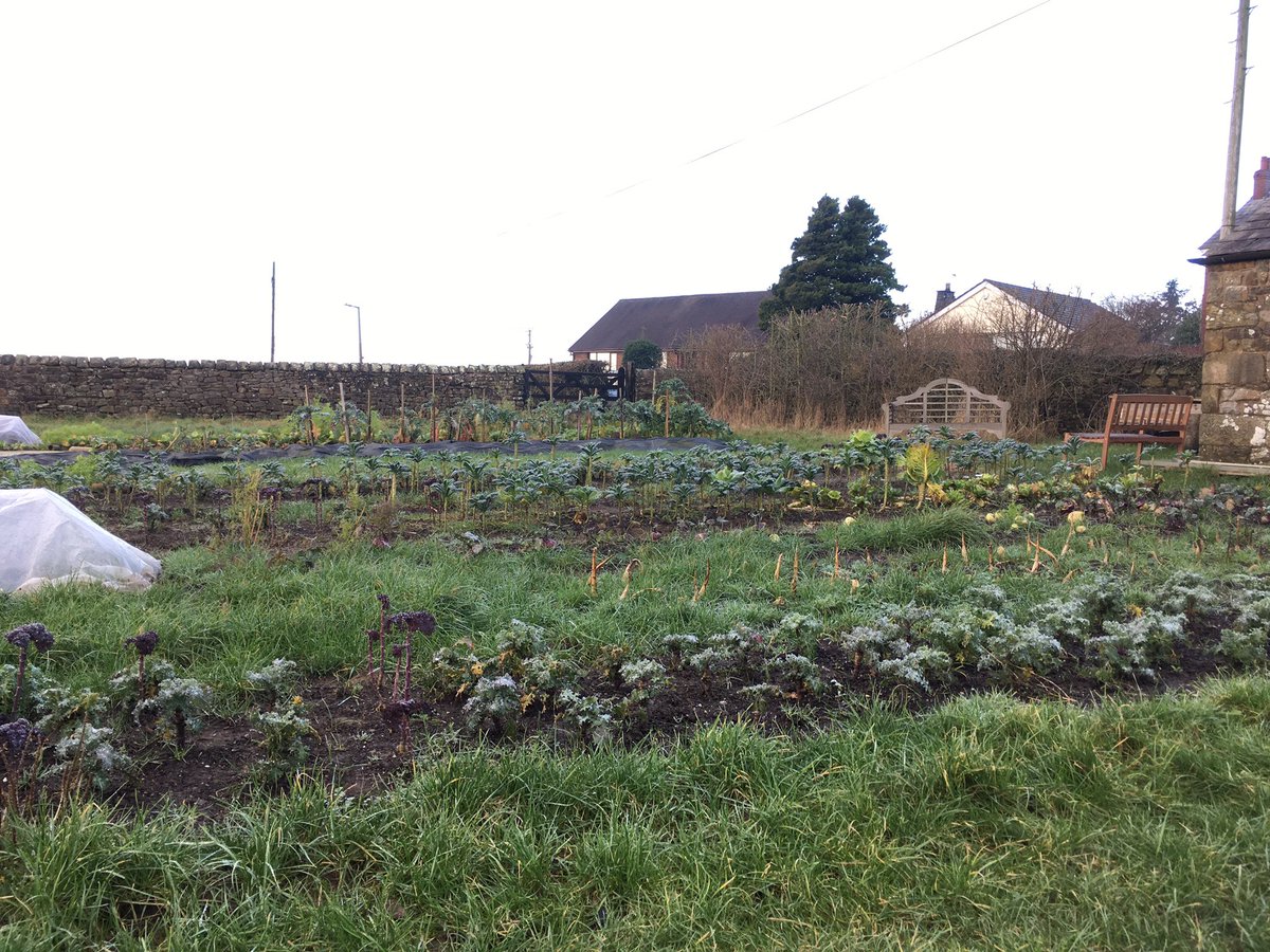 Wannabe growers in north Lancashire are being given the opportunity to learn how to grow food for a living - supplying more produce grown in the county.
<a href="/SharonHartley_/">Sharon Hartley</a> heard about the #FarmStart programme near #Lancaster <a href="/BBCLancashire/">BBC Lancashire</a>
🔉Listen:(21mins)bbc.in/3ri7i4O