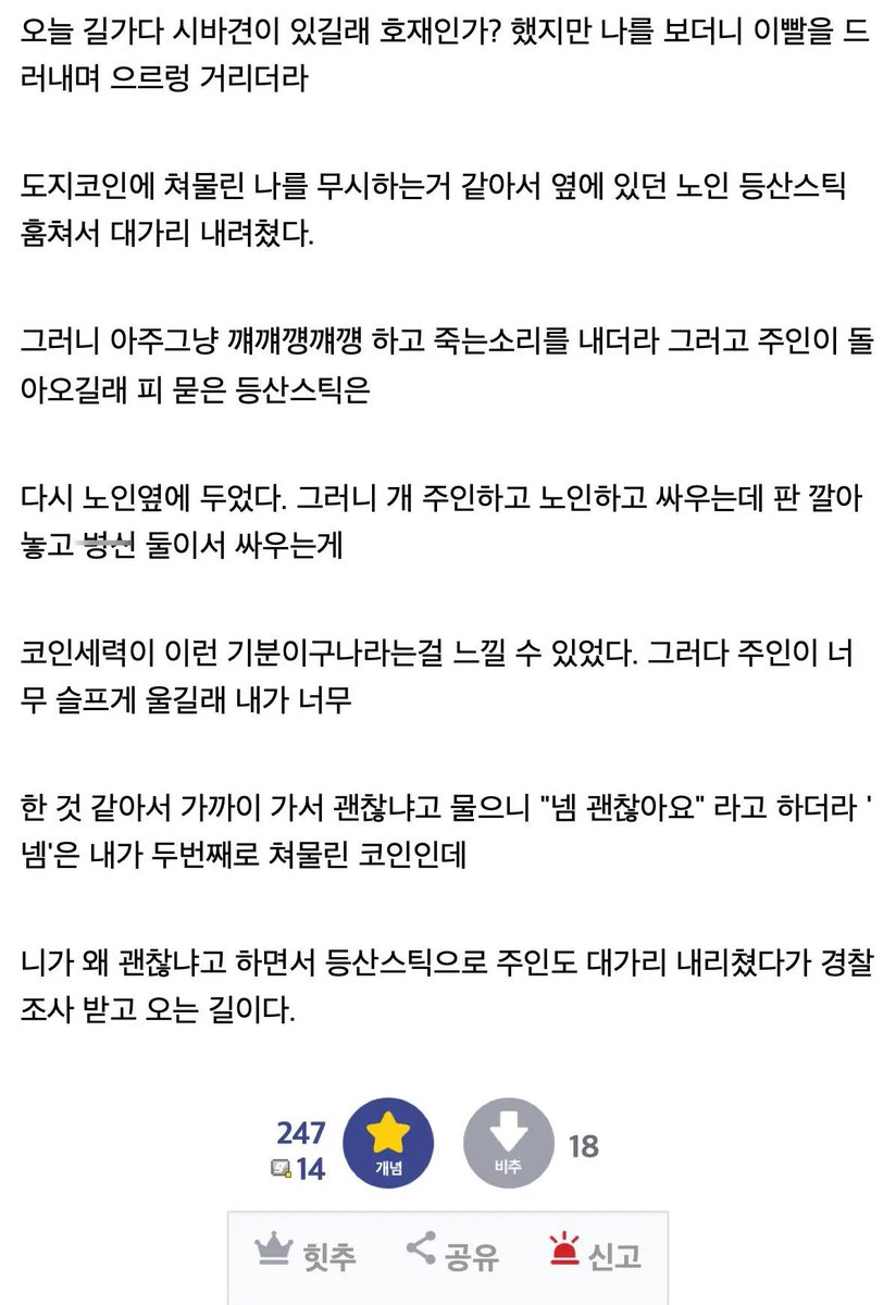 비트코인갤러리 #비트코인