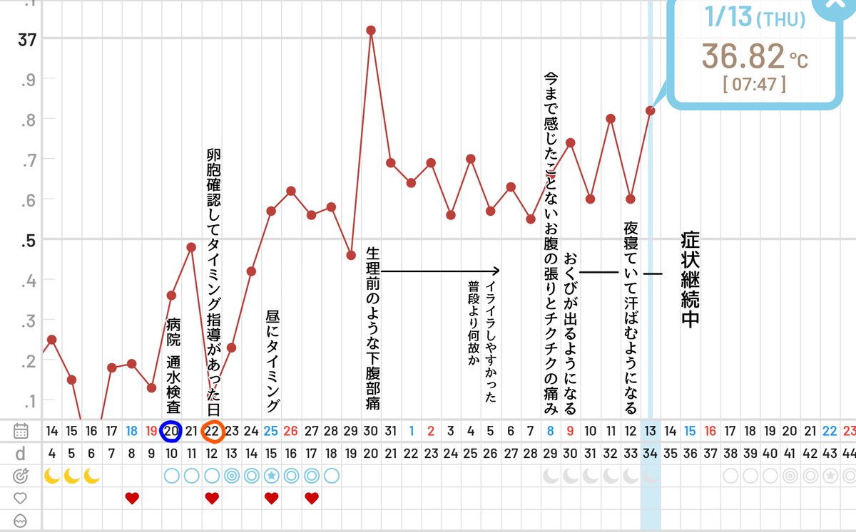 Kuma Kuma Megane 02 Twitter