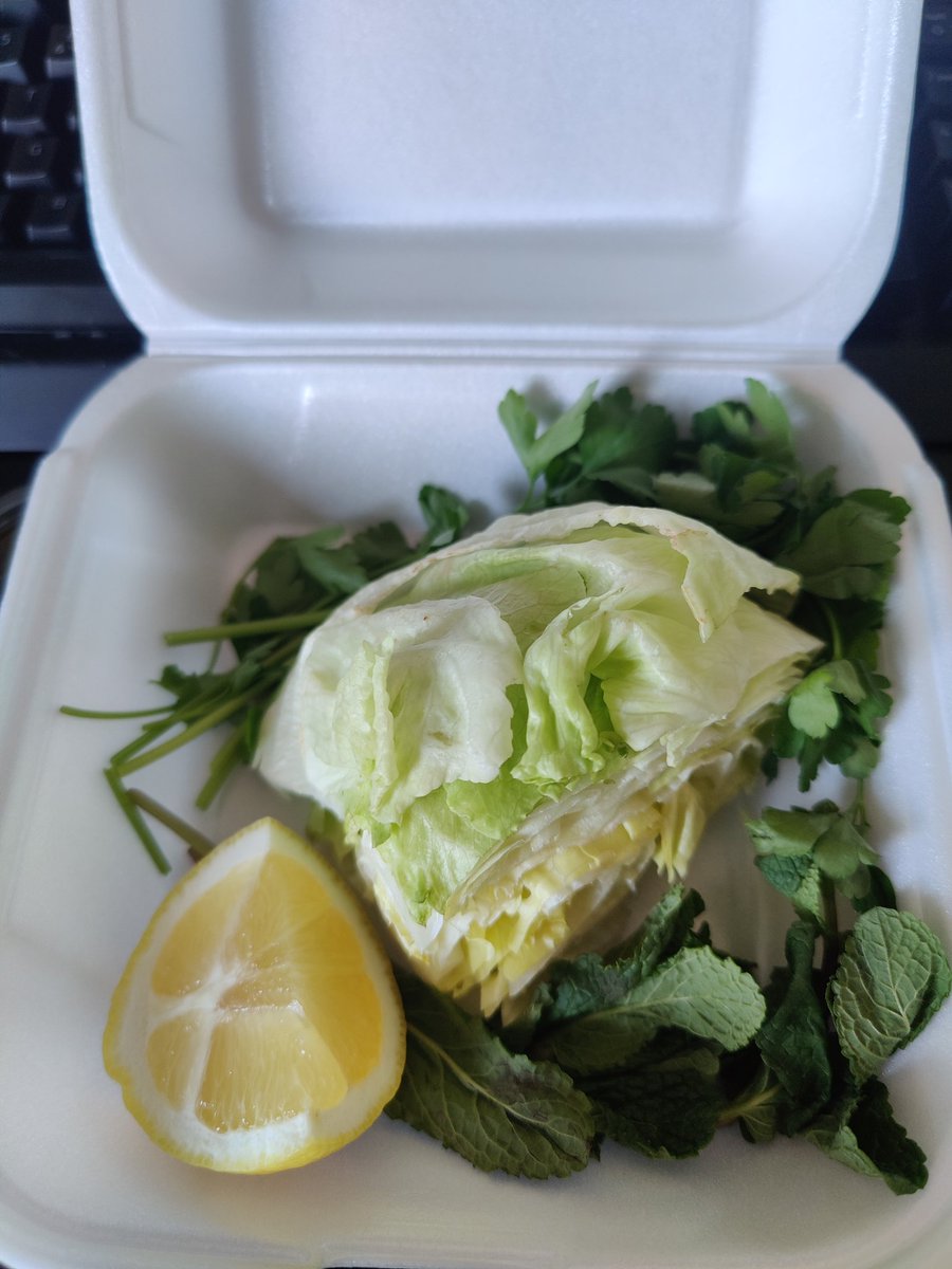 PandarEUW's tweet photo. Well... Ich hab einen Salat bestellt und einen Salat bekommen 🤨 https://t.co/LA6cX3IbSE