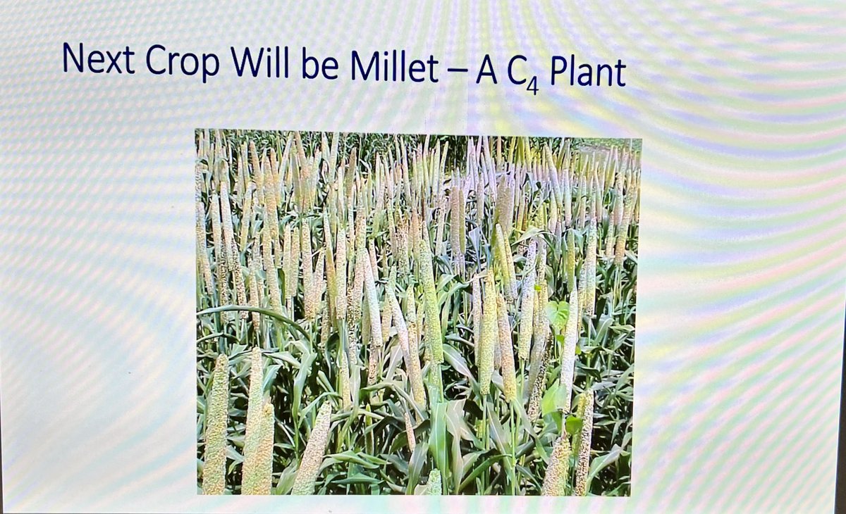 prof_andywilcox's tweet photo. We are back at #SWMC22 after the short lunch break. My esteemed colleague @Dr_S_Jeffery is giving a great overview of soil carbon measurement and the plans going forward for the 10 year #CTF experiment that will investigate this @HarperAdamsUni https://t.co/0k9HKyi4Ob
