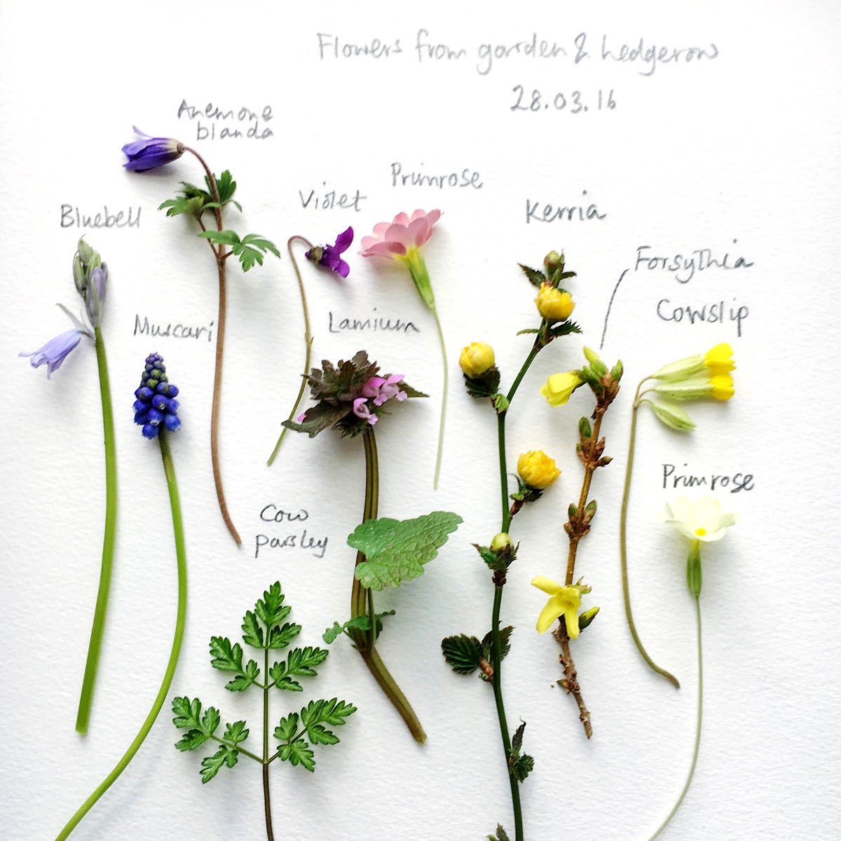 Not so many weeks away...