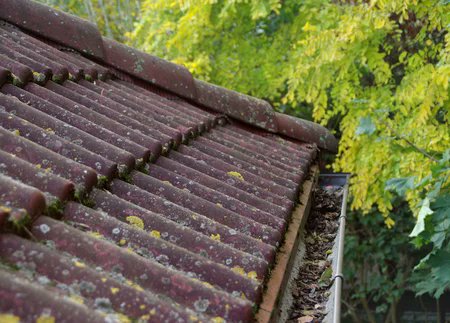 ArquitectoxHora's tweet photo. Y luego de la #OladeCalor
https://t.co/uXqvklYK6F
Se viene una semanita de lluvias fuertes
El #ArquiTips de hoy:
A limpiar las canaletas y desagües, que hace mucho que no llueve! https://t.co/9K2SuZfeS6
