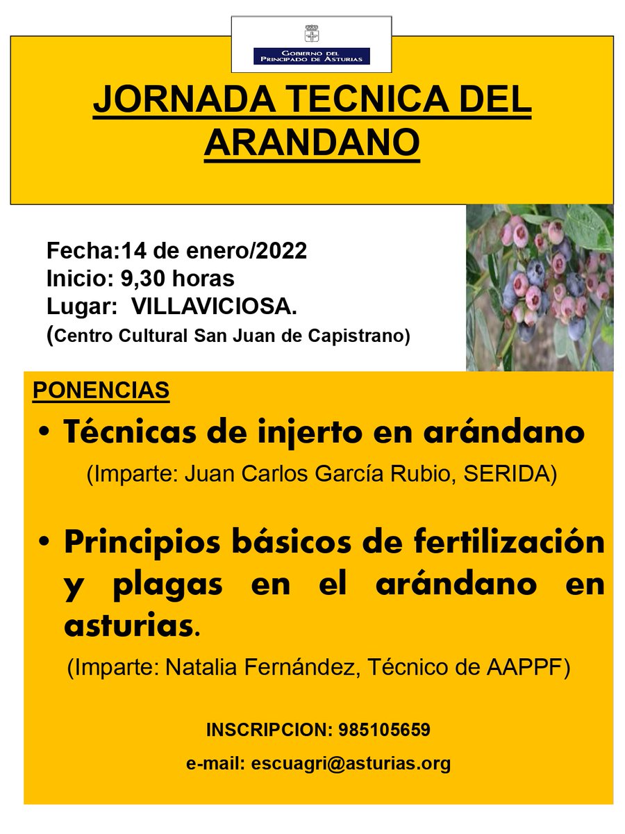 SeridaAst's tweet photo. Juan Carlos García, técnico del Área de Experimentación y Demostración Agroforestal impartirá mañana una ponencia sobre Técnicas de injerto en #arándano, dentro de la Jornada Técnica organizada por la Consejería de @MRuralyCohesion, en colaboración con la #AAPPF https://t.co/JfpXvmaSTf