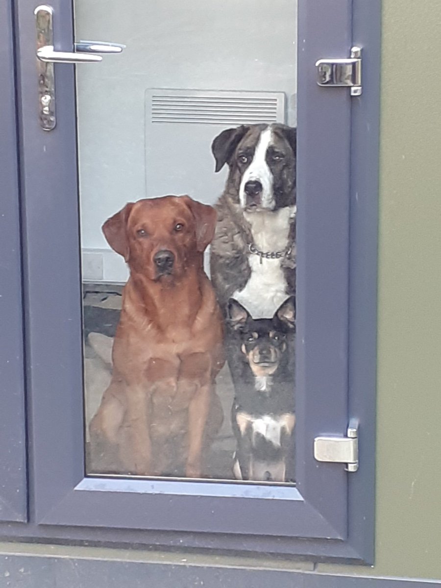 New recruits!