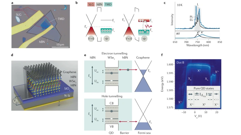 Review: Quantum photonics with layered 2D materials

Mikko Turunen, @maubro, Yunyun Dai, Yadong Wang, Eleanor Scerri, <a href="/cristian_bonato/">Cristian Bonato</a>, @hqpd_joens, <a href="/ZhipeiSun/">Zhipei sun</a> &amp; <a href="/BrianGerardot/">Brian Gerardot</a> on progress in 2D layered materials towards coherent quantum photonic devices
rdcu.be/cEVpD