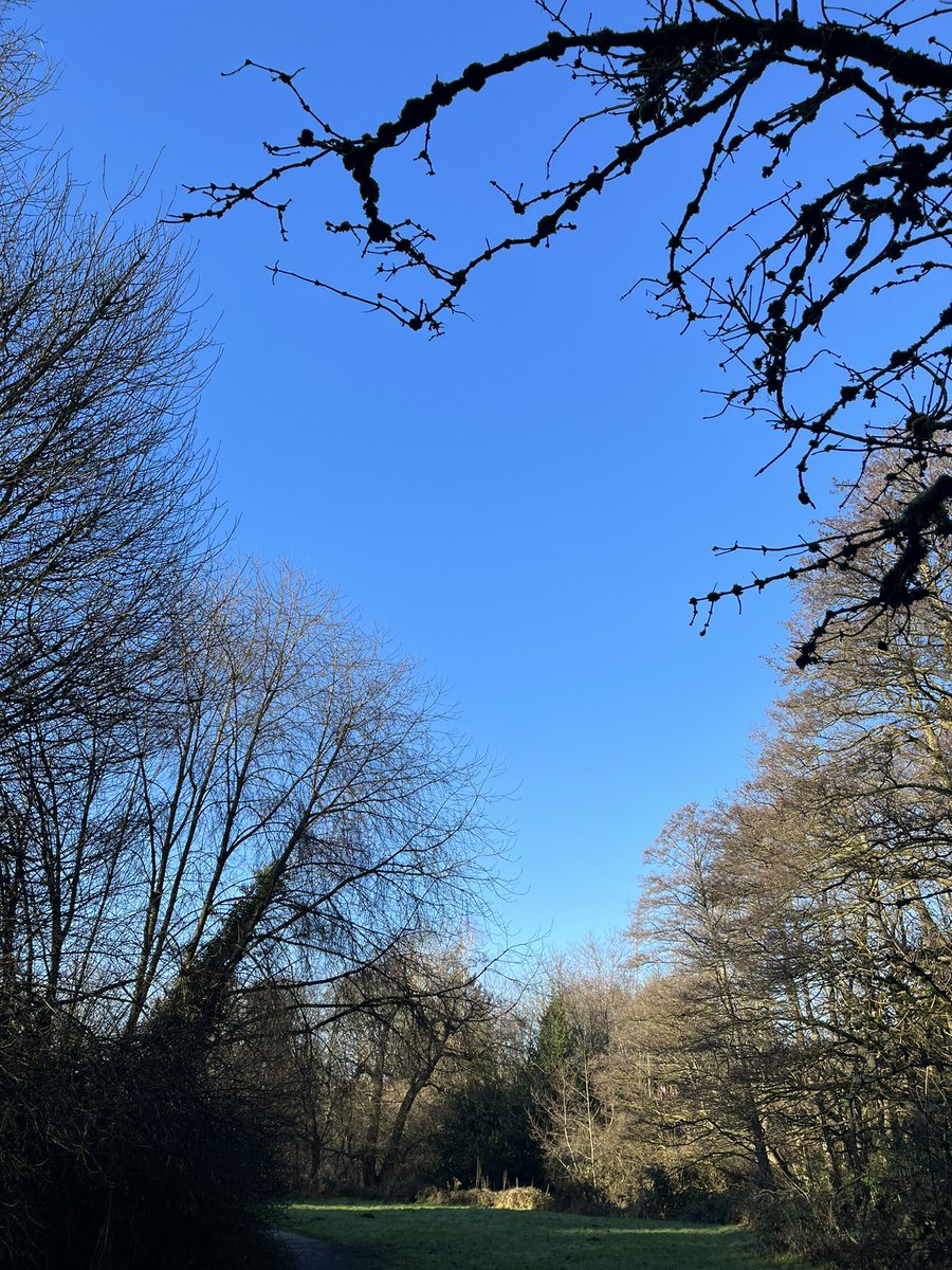 lindsayfelstead's tweet image. What a beautiful day! 🤩 ☀️ #walk #QuickBreak