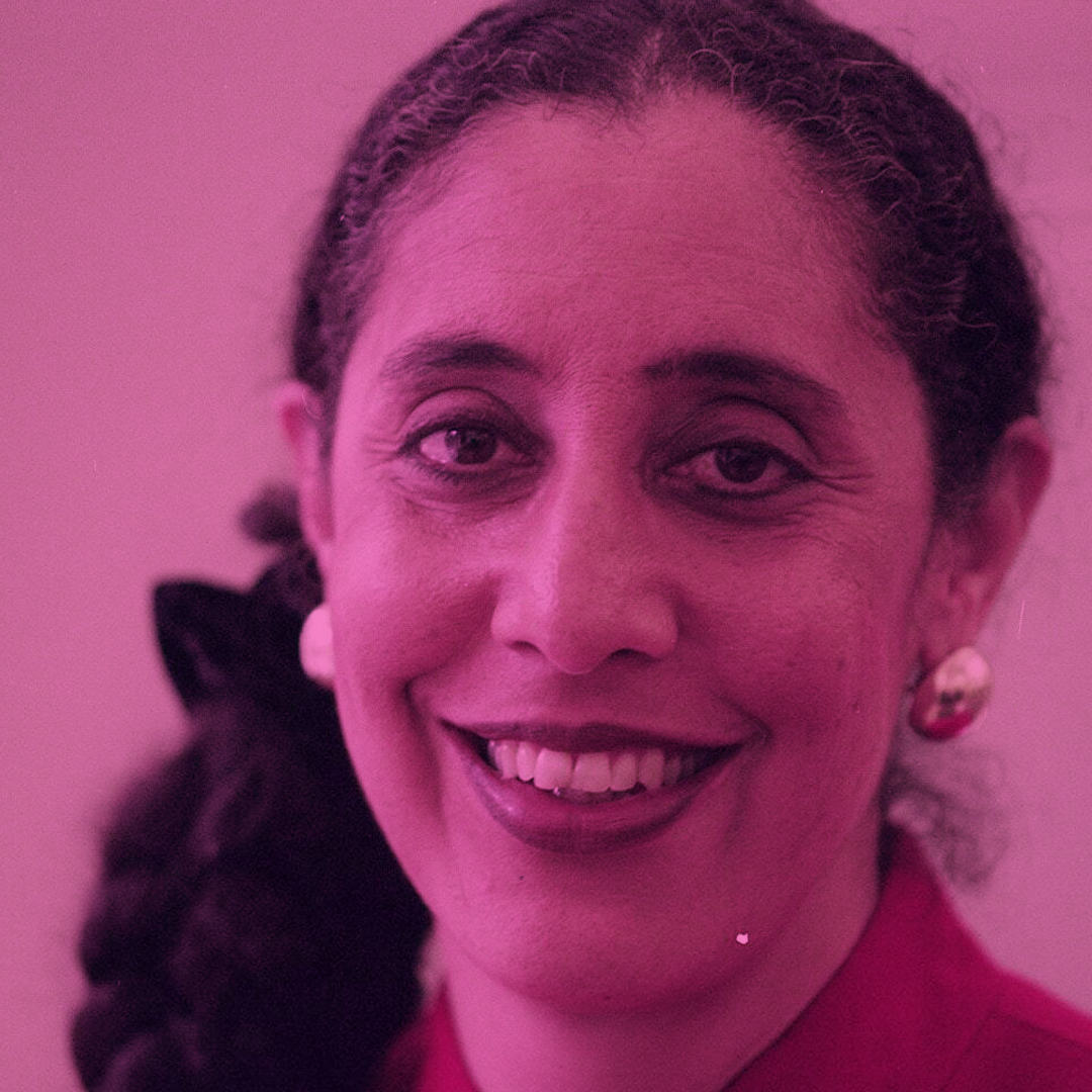 "In a racially divided society, majority rule is not a reliable instrument of democracy."  Lani Guinier

RIP Lani Guinier 💔