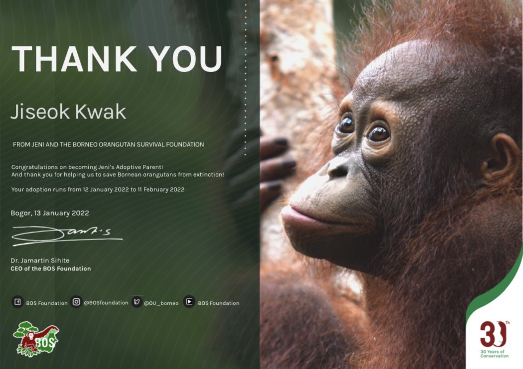 so i adopted Jeni, an orangutan whose currently in rehabilitation after being illegally captivated, under Gaon’s birth name on his special day! 

happiest birthday, love. ♡  #HappyGaonDay #Our_Hero_Gaon_Day #우리_가온_태어나줘서_고마워