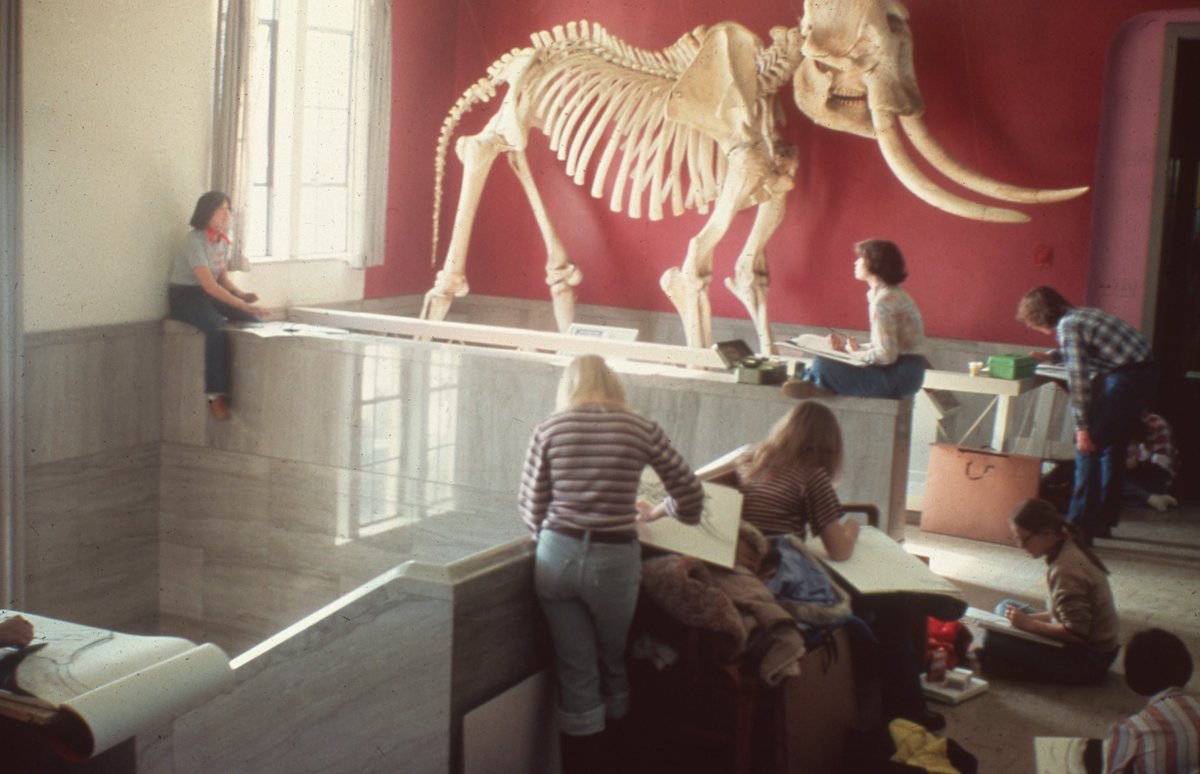 It's #ThrowbackThursday! We are looking back to students drawing in the #MSU Museum in the 1970s. We hope to see <a href="/michiganstateu/">MSU</a> students drawing in the Museum again soon! #TBThursday #TBT