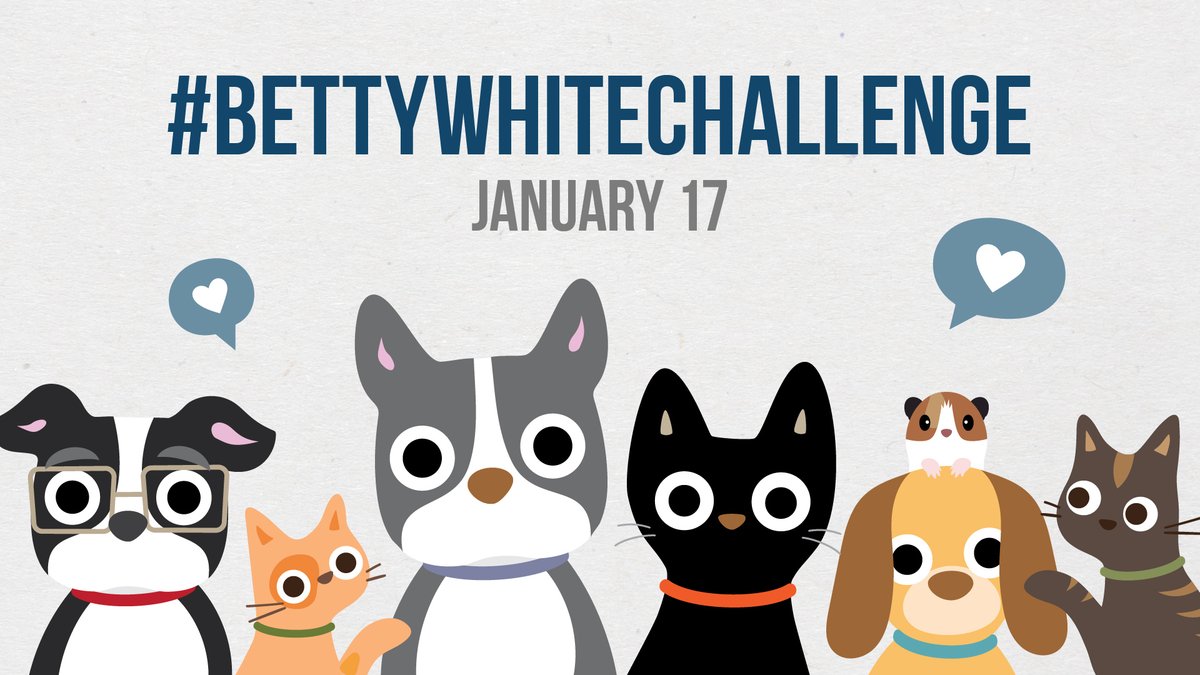 WakeGOVPets's tweet photo. We are joining the viral #BettyWhiteChallenge on social media. To honor the Hollywood icon on what would have been her 100th birthday, her fans are calling on animal lovers across the nation to donate $5 to their local shelters.  Learn more  https://t.co/FMmyLgzUTD https://t.co/cIiXyYNdn7