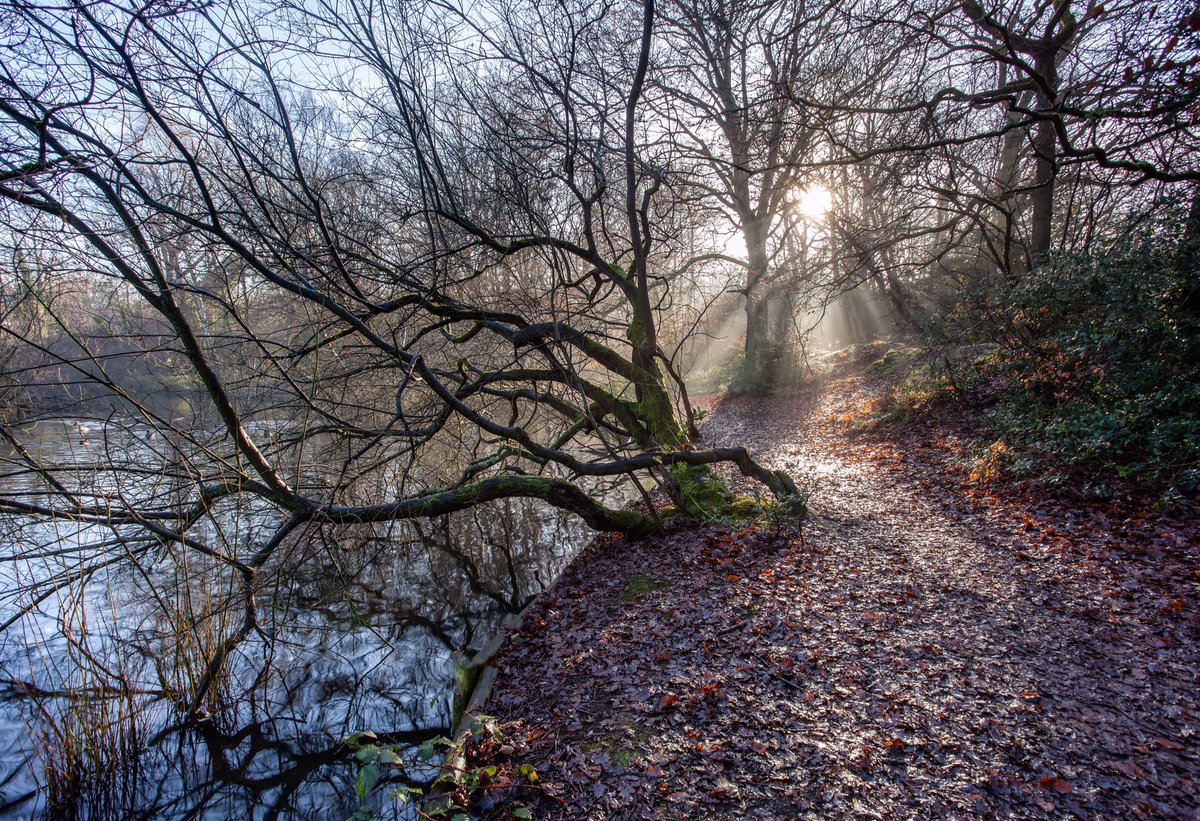rumpuledude's tweet photo. Chislehurst common #misty #mistymorning #chislehurst #chislehurstsociety #chislehurstcommons #br7 #woodland #WINTER #Winterwatch #beautifullight #sunrays #naturelovers #Countryside #visitchislehurst https://t.co/msFjU096tS