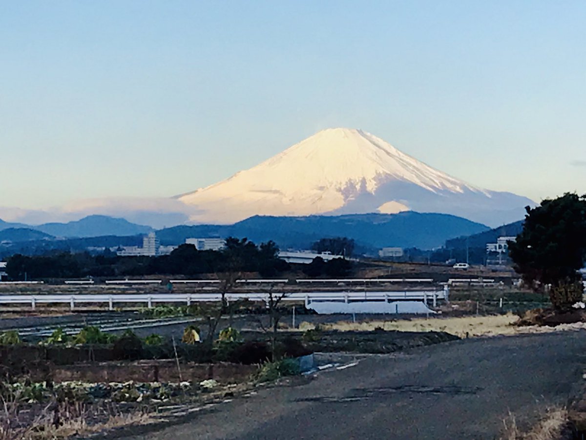 東の空は、曇り空☁️ 西の空は、雲一つなしの朝でした🗻 夜、サラが部屋に居ない？🤔。。と思ったら、暖かい所探しのプロ🐈は、既に潜んでたり🤣 今日はお布団類を干したから温かいでしょ？😄