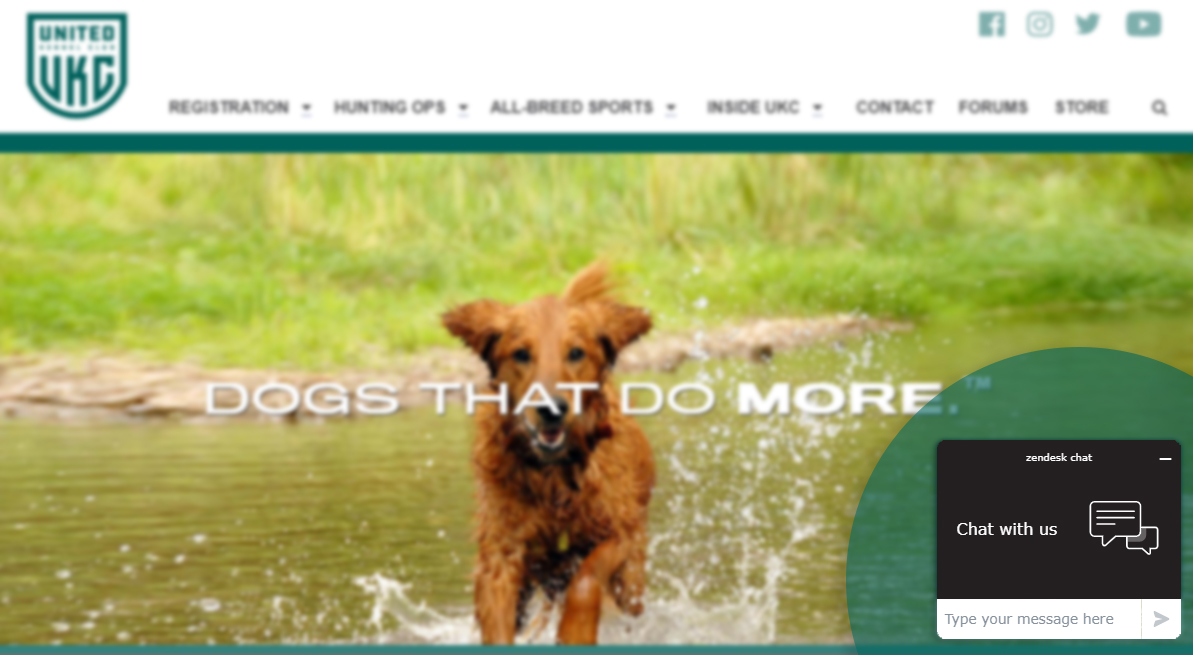 can i register my dog with ukc online