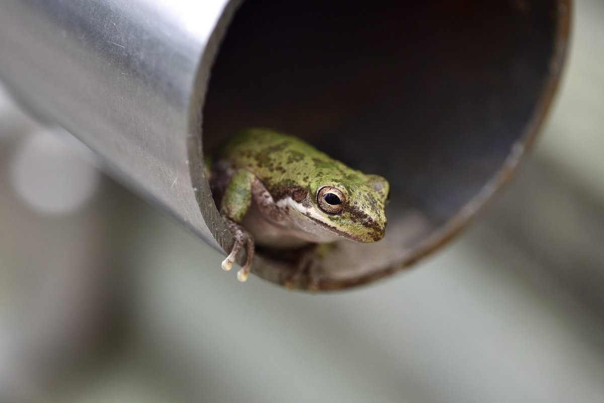 Gina Lloyd tweet media